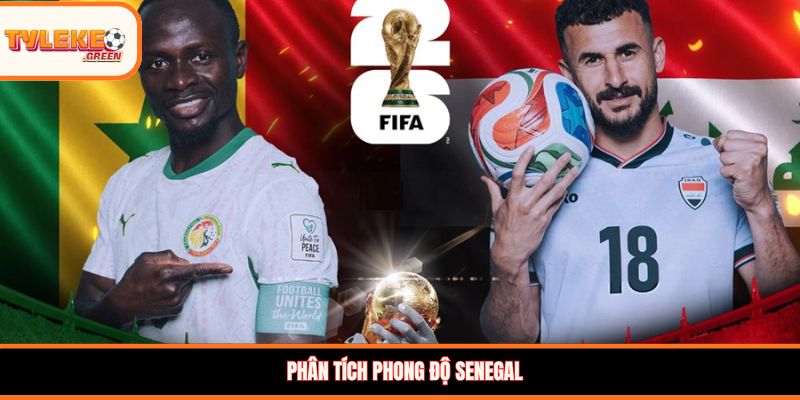 Soi kèo Senegal vs Iraq, 02:00, 27/06 – Đại diện châu Phi chiếm ưu thế? Phân tích phong độ Senegal