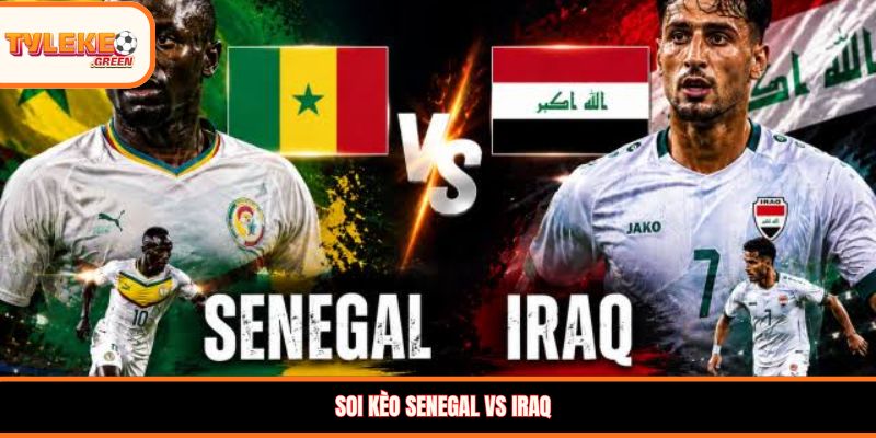 Soi kèo Senegal vs Iraq, 02:00, 27/06 – Đại diện châu Phi chiếm ưu thế? Soi kèo Senegal vs Iraq