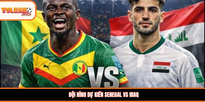 Soi kèo Senegal vs Iraq, 02:00, 27/06 – Đại diện châu Phi chiếm ưu thế? Đội hình dự kiến Senegal vs Iraq